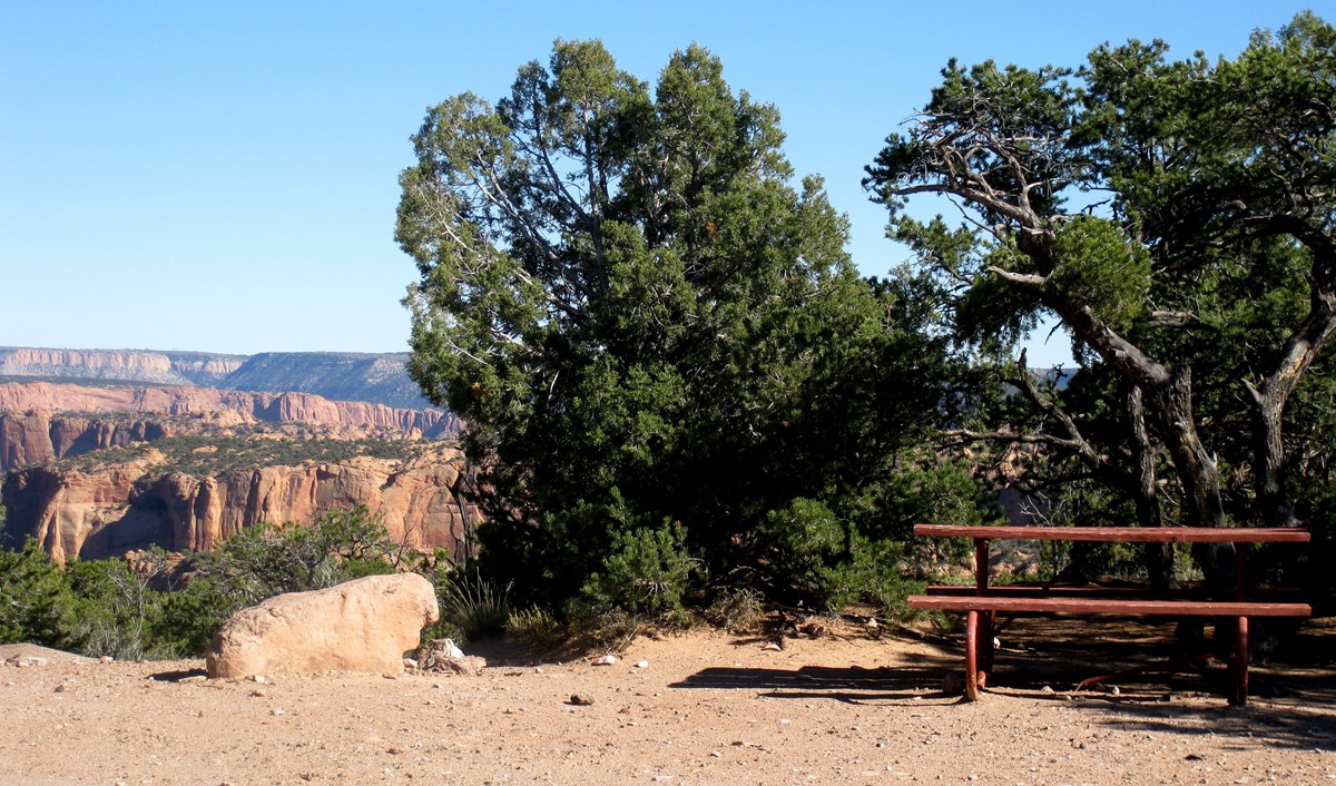 An image of a site at Canyon View Campground