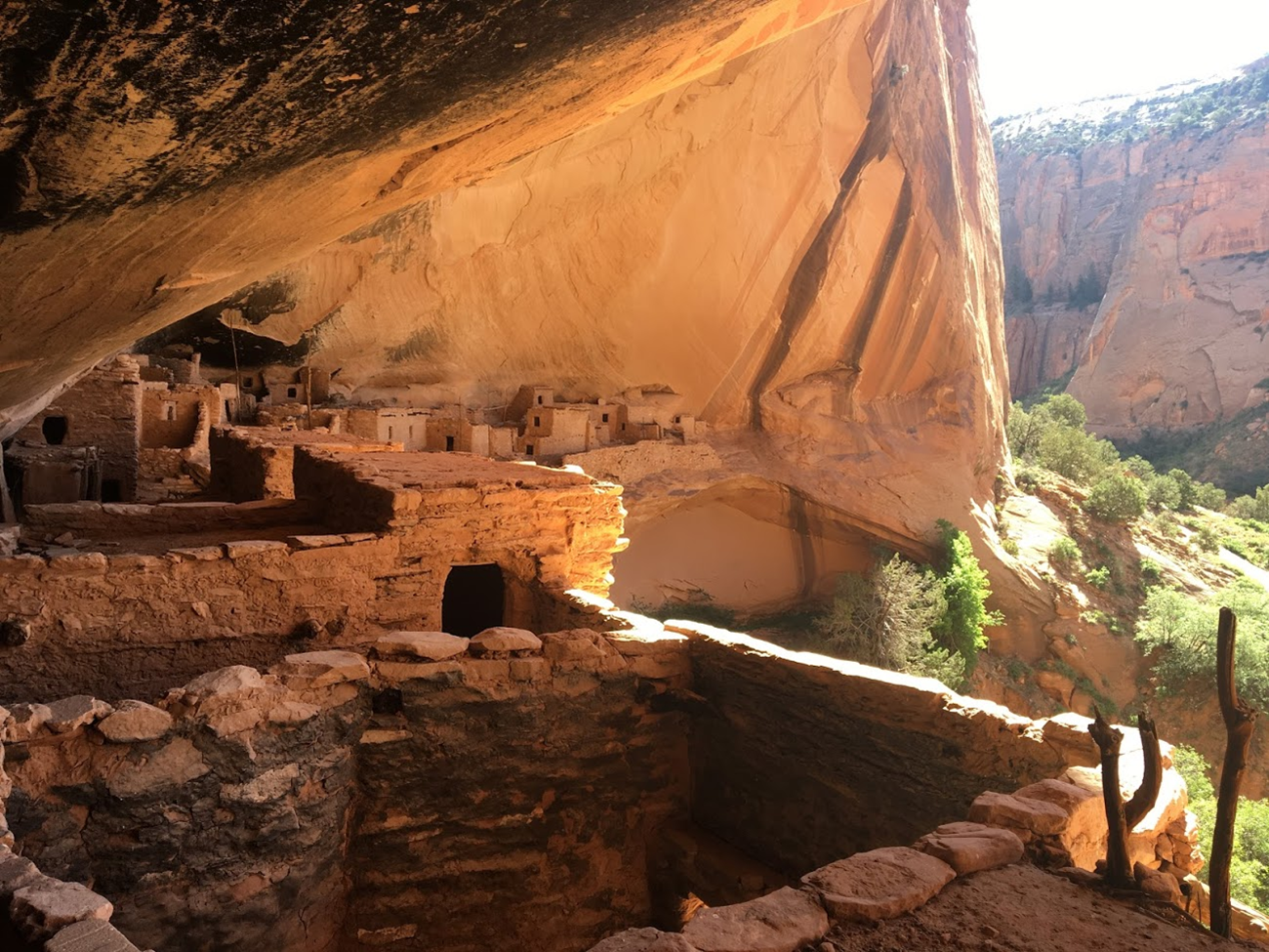 Inside Keet Seel Alcove