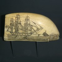 Etched picture of whaleship and whales in ocean on whale bone.