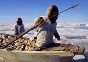 Hunting whales in Barrow, Alaska Hunting whales in Barrow, Alaska