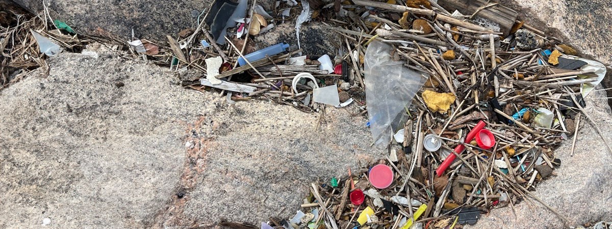 Close-up of marine debris washed up on rocks, showing various plastic items like bottle caps, straws, and wrappers mixed with natural debris such as twigs and seaweed.