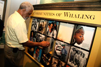 A visitor spins an interactive panel in the Communities of Whaling exhibit A visitor spins an interactive panel in the Communities of Whaling exhibit
