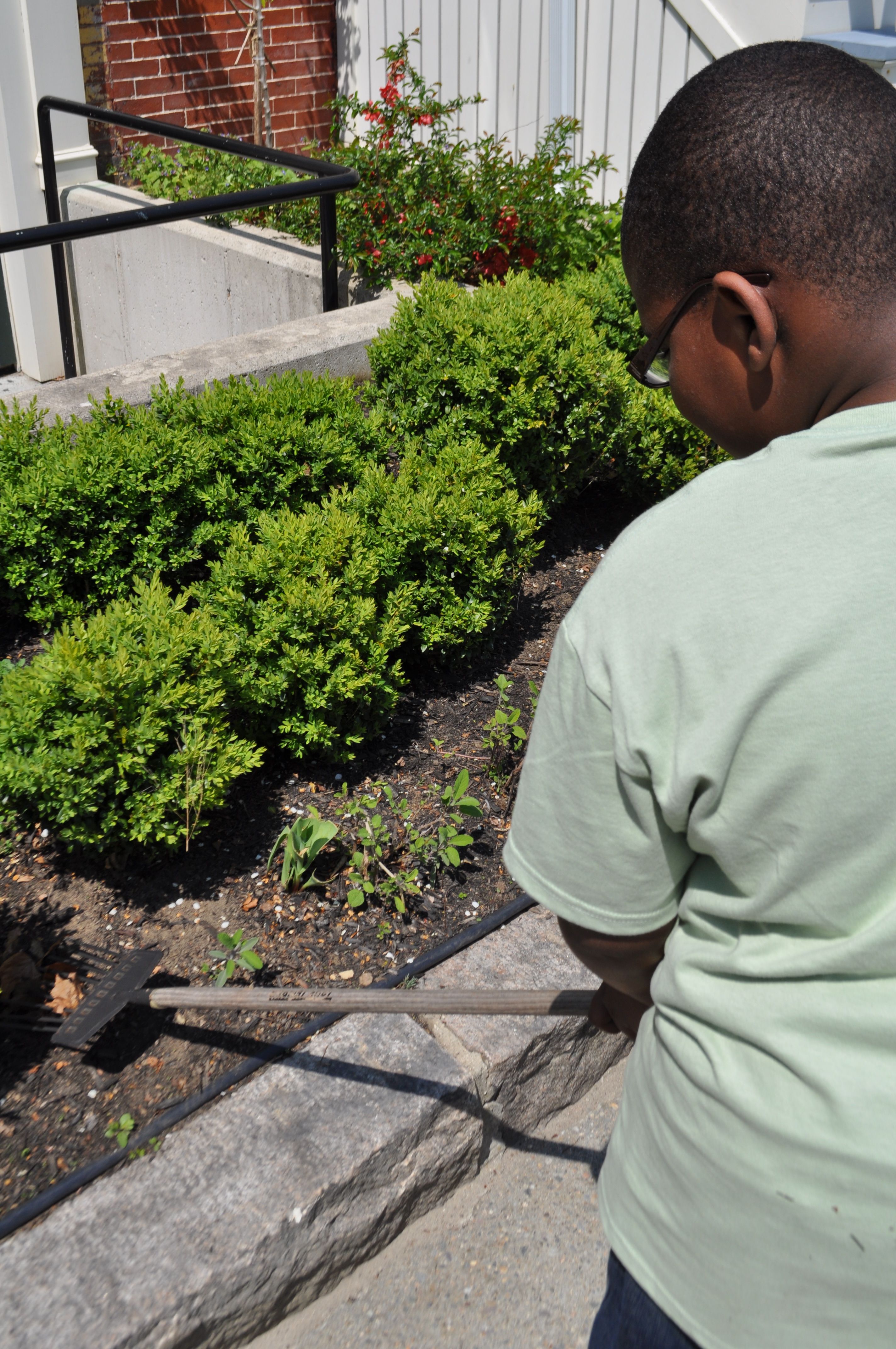 young man volunteers in garden