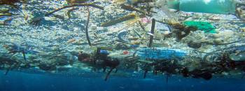 Plastic garbage in the ocean