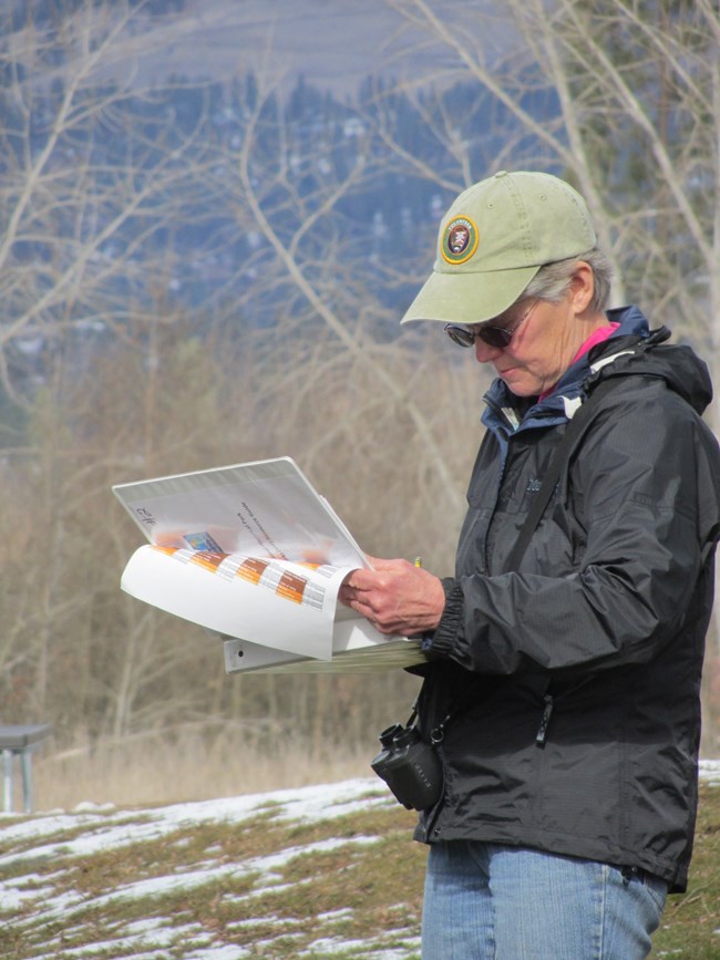 A woman wearing a green Volunteer-In-Parks ball-cap reads from a binder on a small slope with grass and snow. Bare tree limbs are behind her.