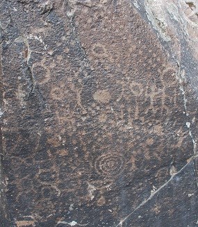 Rock with densely clustered petroglyphs - mostly dots and spirals.
