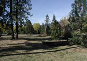 A canoe in grassy field surrounded by trees on a sunny day. A canoe in grassy field surrounded by trees on a sunny day.