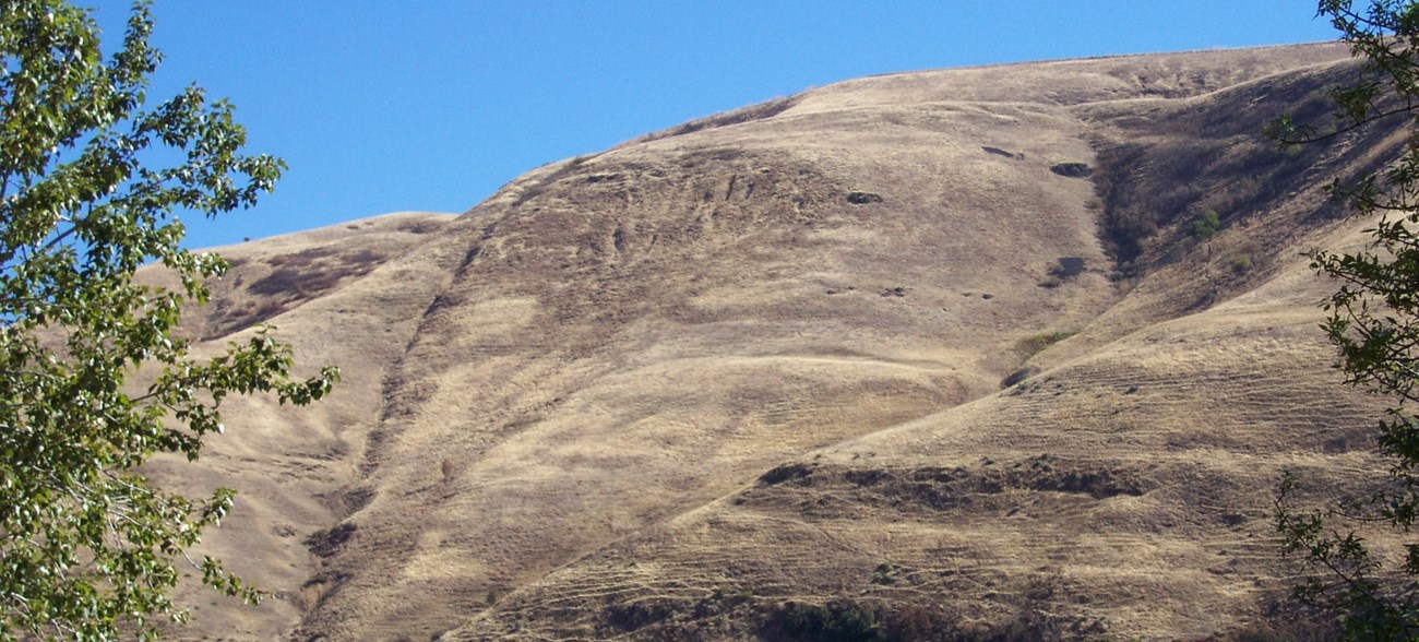 A mountain hillside on a sunny day.