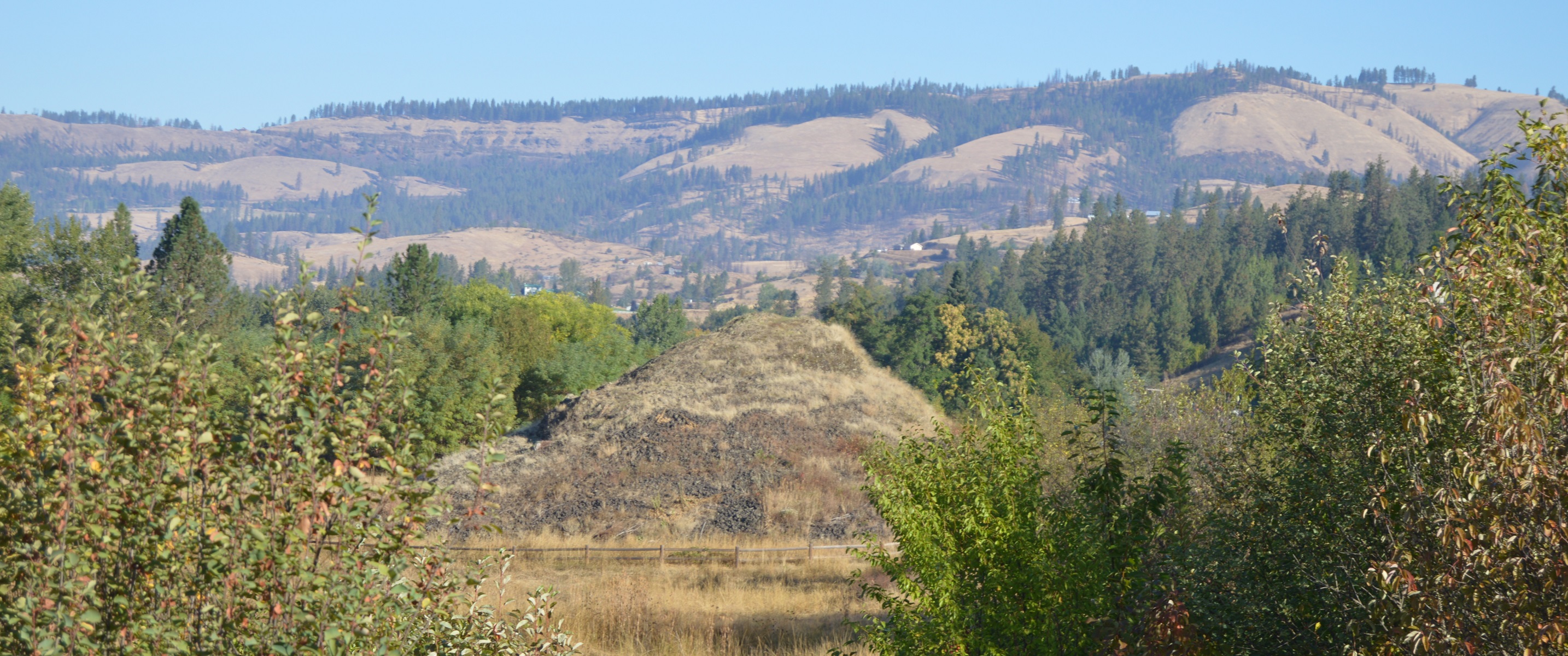 photo of a rock outcropping with bushes framing the foreground and a taller plateau in the background.