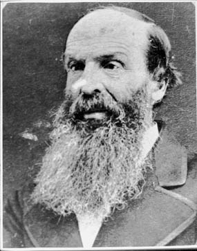 An older man with a long beard and a partially bald head.