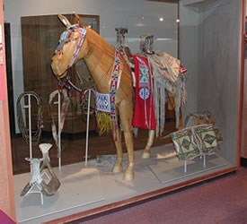 A museum exhibit of a Nez Perce horse wearing traditional accessories. A museum exhibit of a Nez Perce horse wearing traditional accessories.