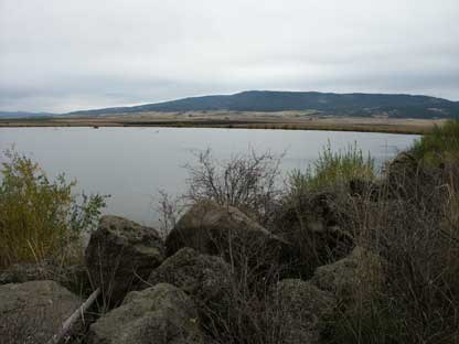 A hillside filled with rocks and tall grasses with a lake in the background on a cloudy day. A hillside filled with rocks and tall grasses with a lake in the background on a cloudy day.
