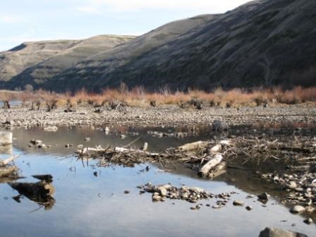 A river filled with broken branches and rocks near the mountains.