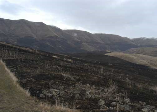 A meadow with a dark barren ground with the mountains in the background.