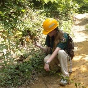 volunteer doing trail work