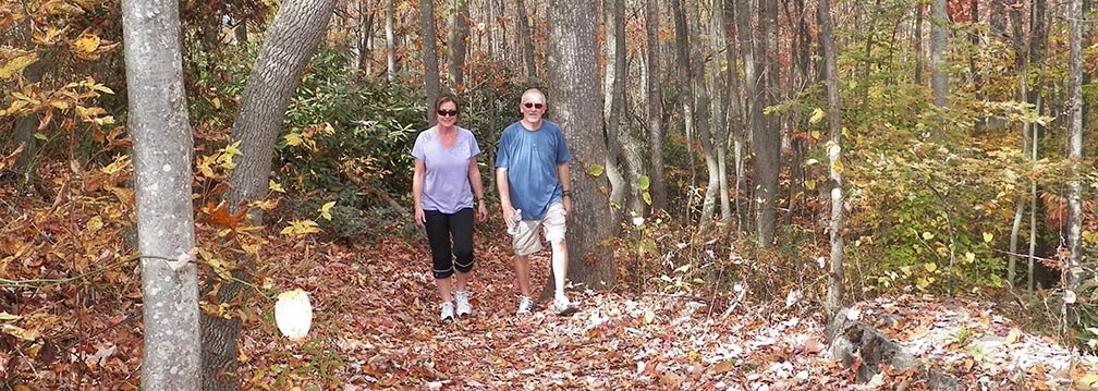 hikers on a trail