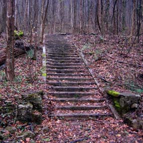 old stairs in the woods