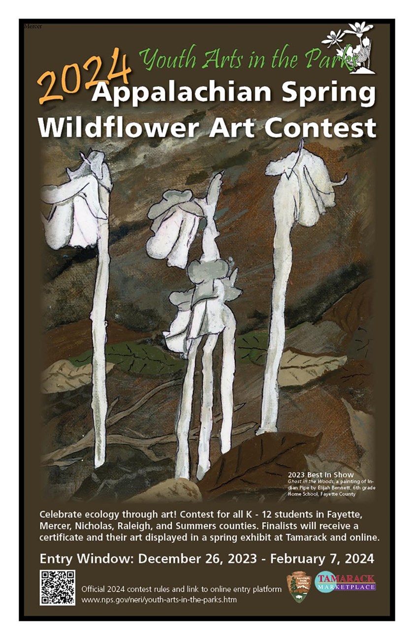 art contest flier