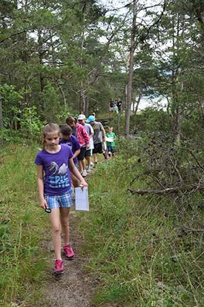 kids hiking through forest kids hiking through forest