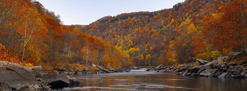 river with fall colors
