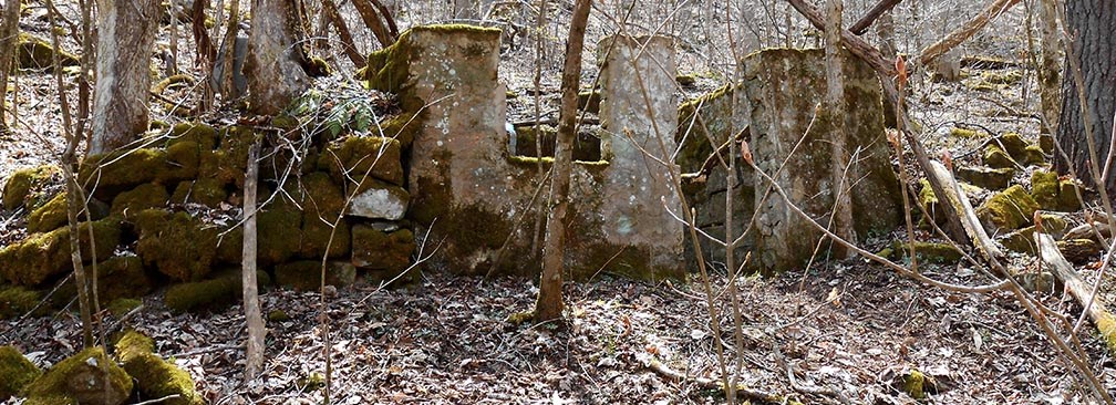 old stone foundation in forest