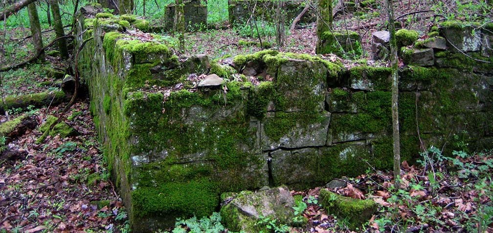 moss covered ruins of an old building moss covered ruins of an old building