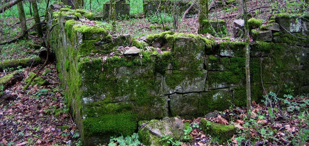 moss covered ruins of an old building