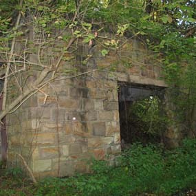 A stone structure with a door sized opening sits in the forest covered in plants and surrounded by trees