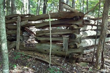 old log remains of a barn