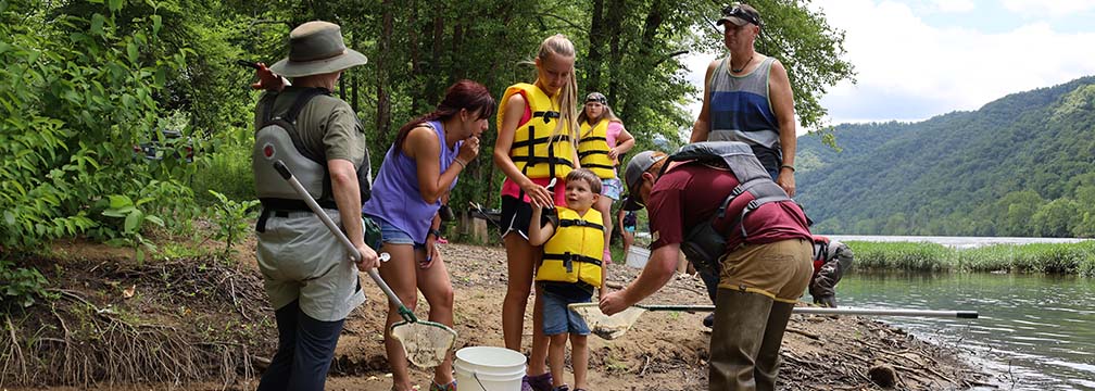 people collecting dragonfly larvae from a river