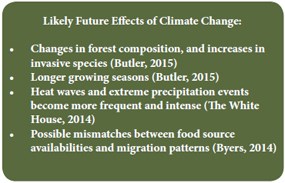 Effects of Climate Change chart