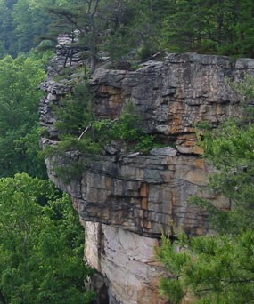 Sandstone cliff on rim of gorge Sandstone cliff on rim of gorge
