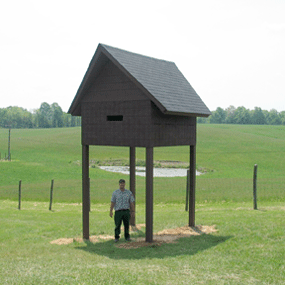The bat condo at Grandview