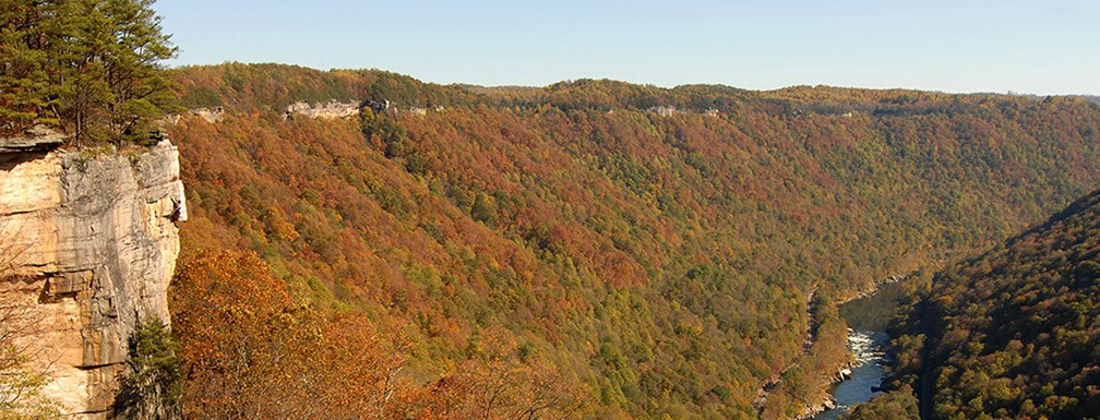 Cliffs along the gorge