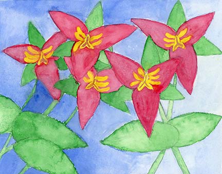 watercolor art of red flowers