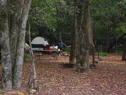 campsite with tent