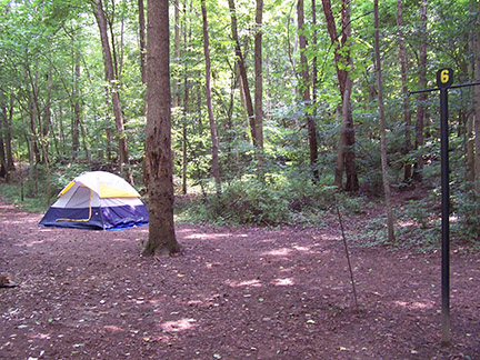 campsite with tent