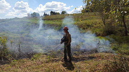 firefighter sprays water on smoldering ground