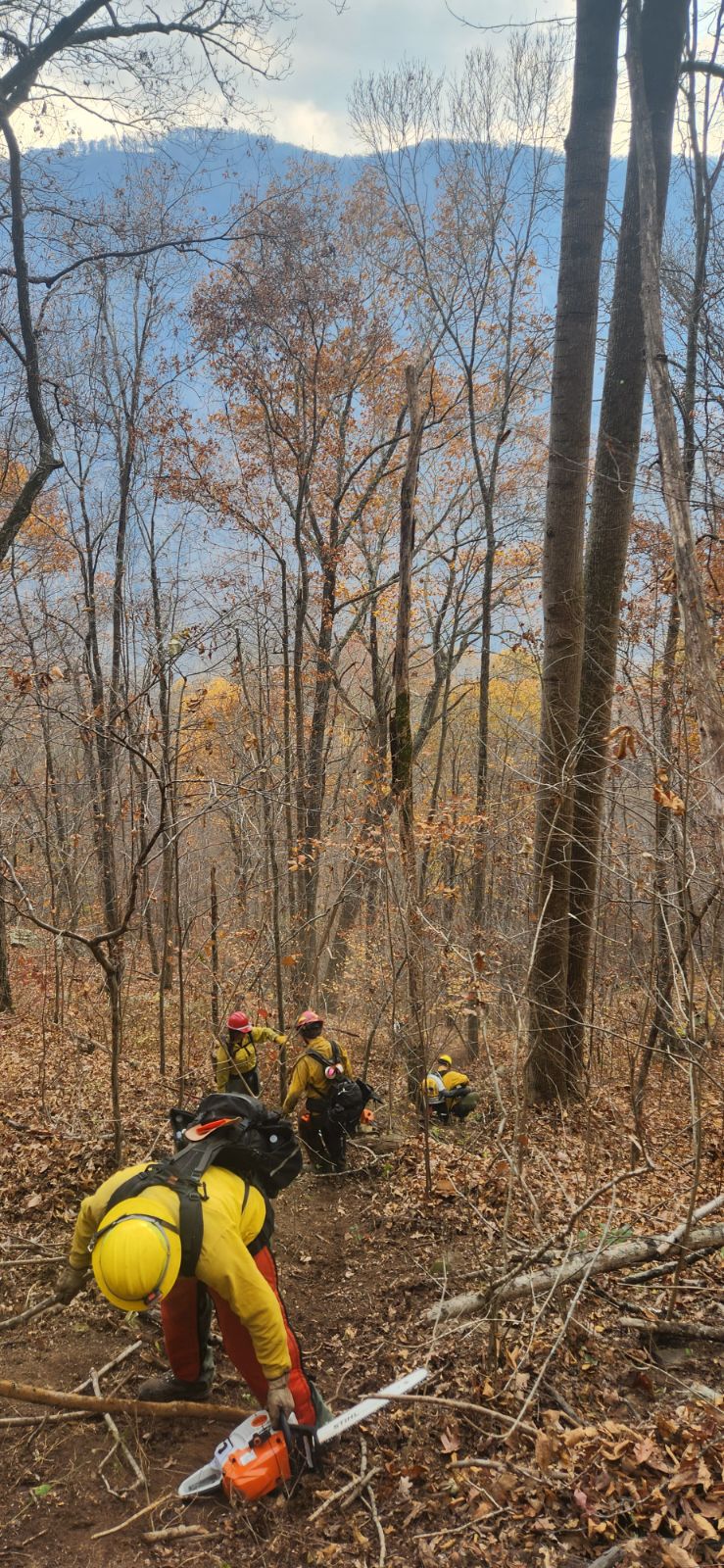 Firefighters in yellow with hand tools