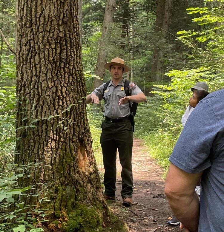 Burnwood Old Growth Forest A ranger with visitors standing on a dirt trail next to an old tall tree in a green forest