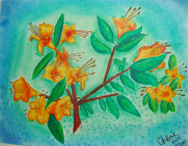 student artwork - flame azalea