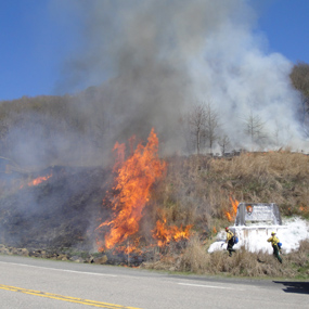 firefighters conducting prescribed burn