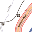 Map of Monitoring Area