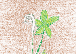 Jack-In-The-Pulpit