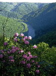 New River from Turkey Spur