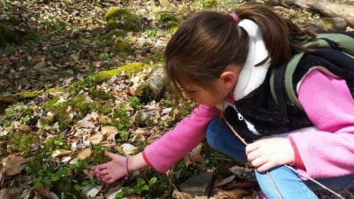 young girl examining a wildflower