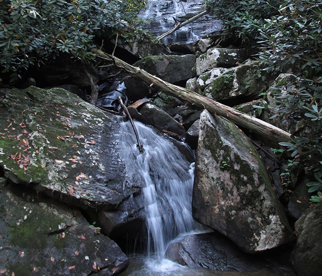 Cascades of water falling down rocks and logs