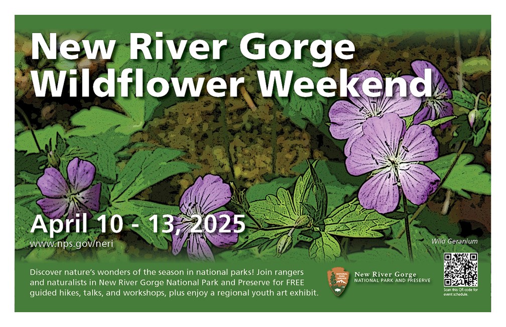 Wildflower Weekend 2025 event poster