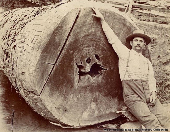 A man dressed in turn of the century trousers, shirt, suspenders, and hat leaning against a large old tree trunk that was recently felled