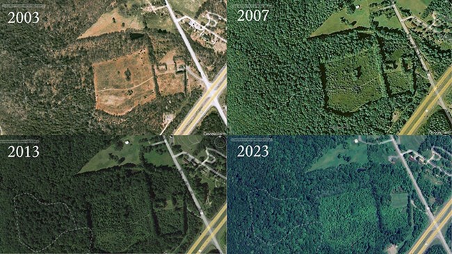 Four different images showing an aerial view of a forest changing from less to more forested starting in 2003 and moving through 2007, 2013, and 2023.